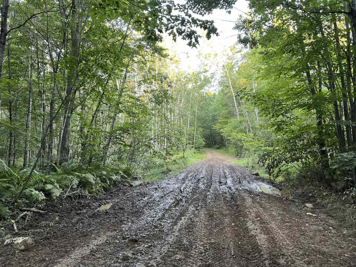 Forest County ATV/SXS 8 Mile Loop Trail 3 photo 5
