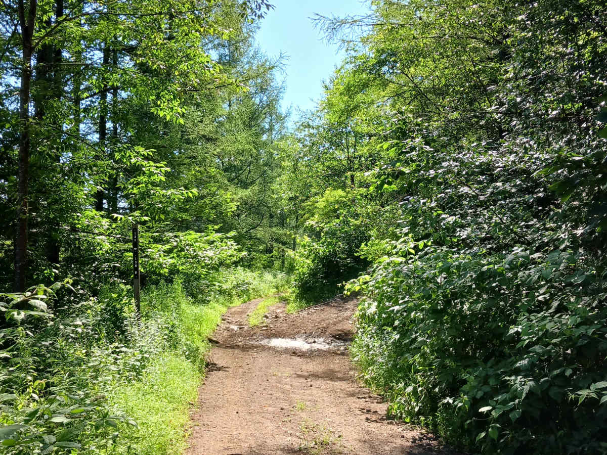 Trail 13F - Rock Run Recreation Area photo 4