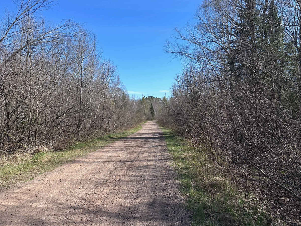 Mallard Lake Forest Road photo 5