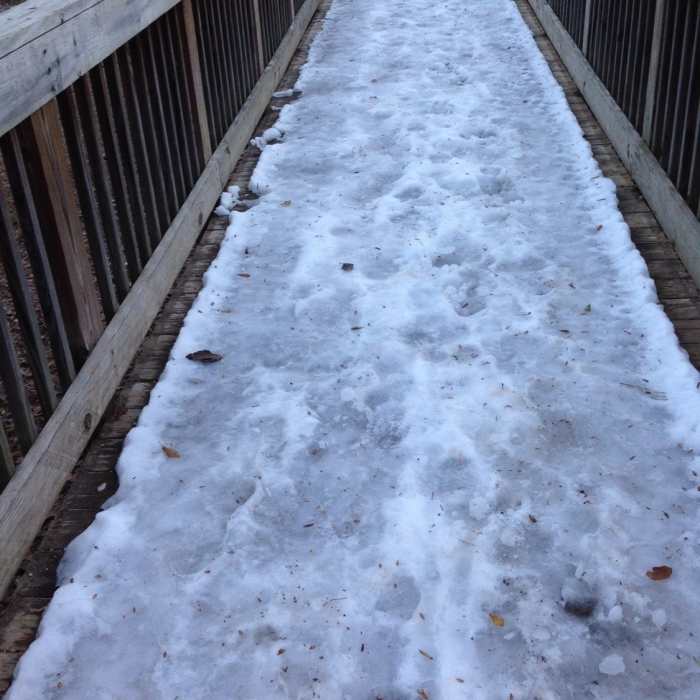 Near The Blue Trail at Sweetwater Creek
