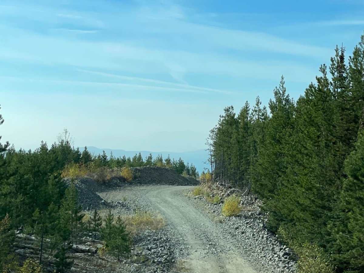 New Road Near Greystokes photo 4
