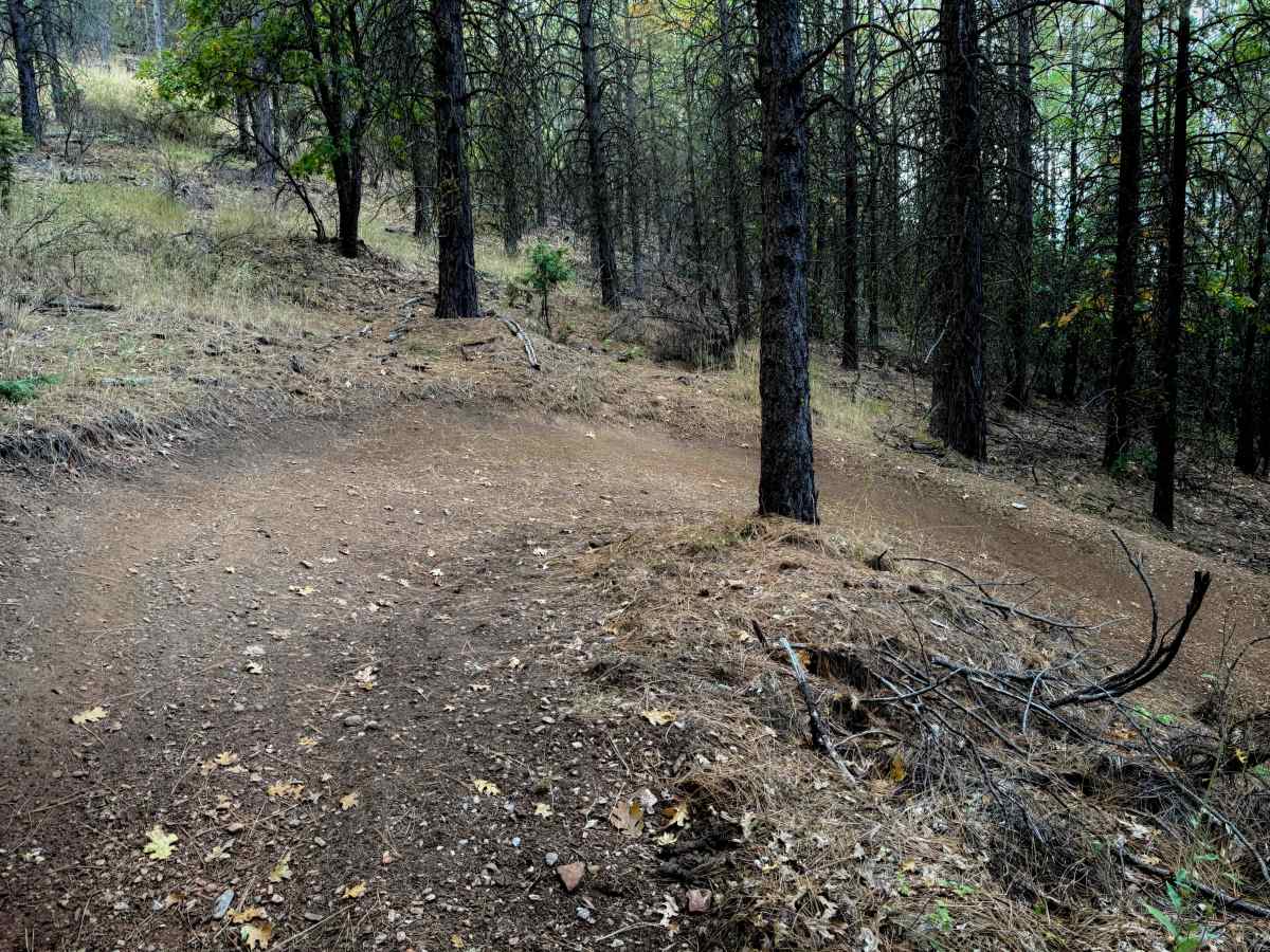 Berry Creek Tie  photo 4