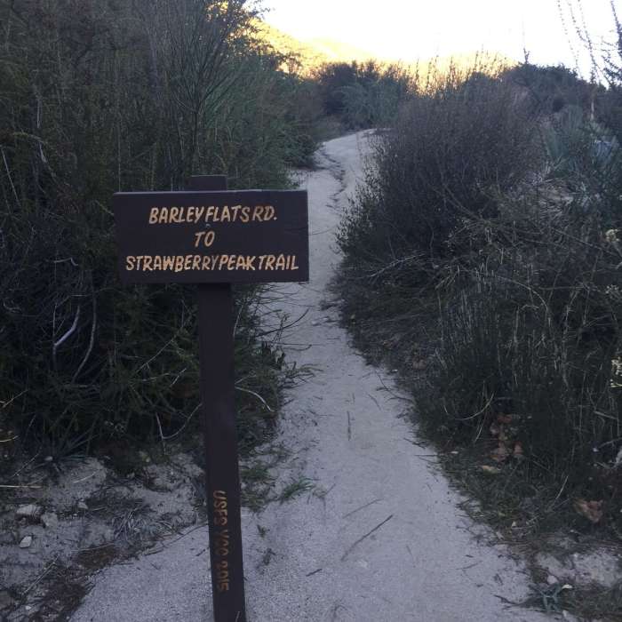 Near Strawberry + Josephine Loop