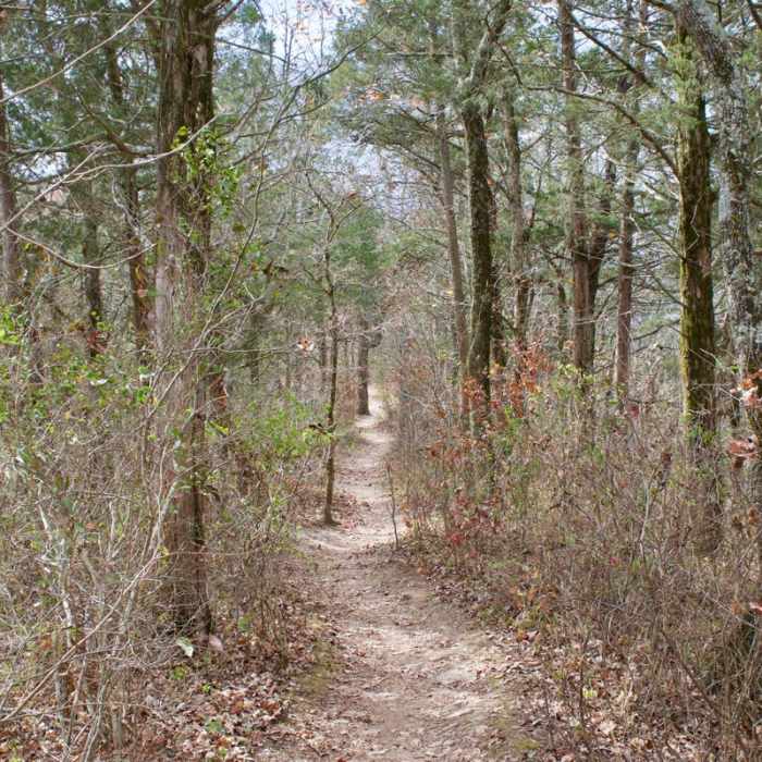 Near Narrows of the Harpeth