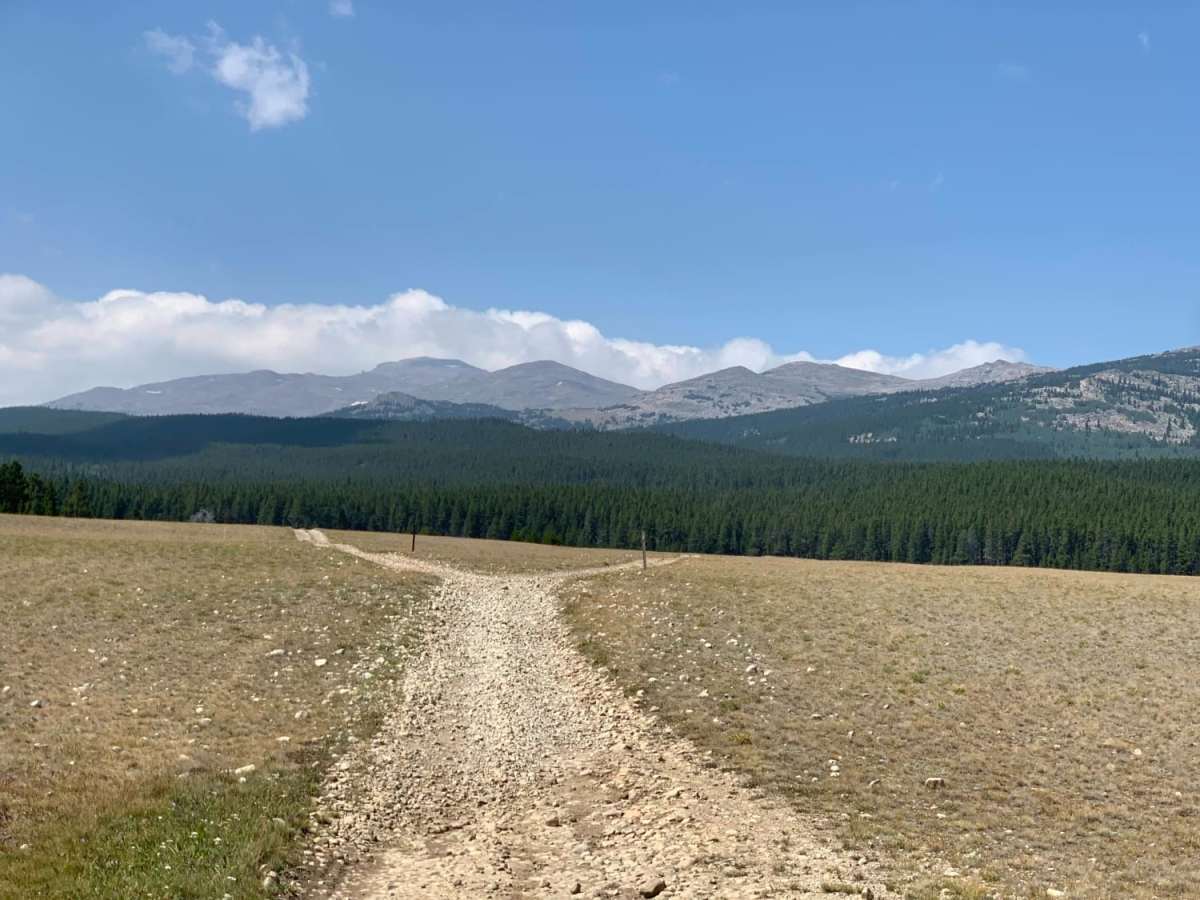 FR 394 trail photo