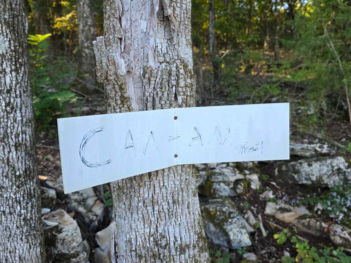 Can-am photo 6