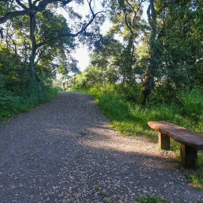 Near Lupine Loop Trail
