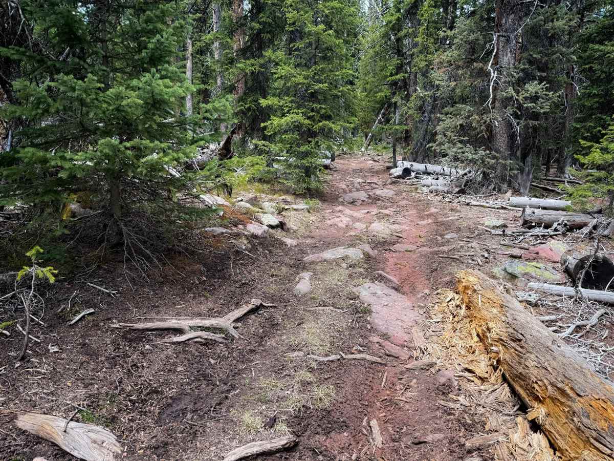 Anderson Creek #71  photo 3
