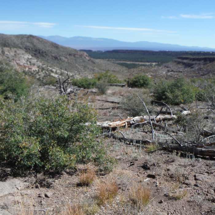 Cabra Canyon looking east towards the Sange de Cristo Mountains. Near Cabra Loop Trail #279