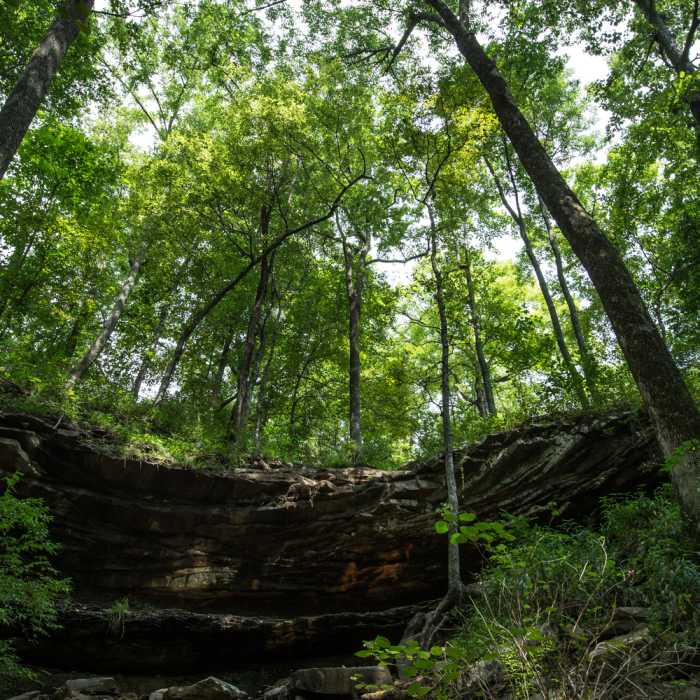 Near North Plateau Loop