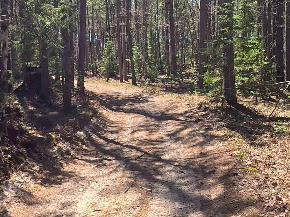 N Doe Lake Road photo 3
