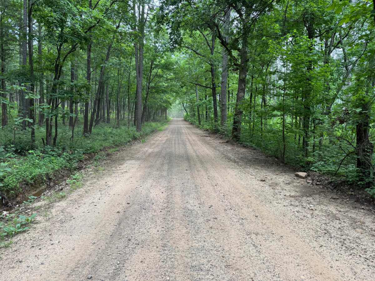 Low Bridge Road photo 2