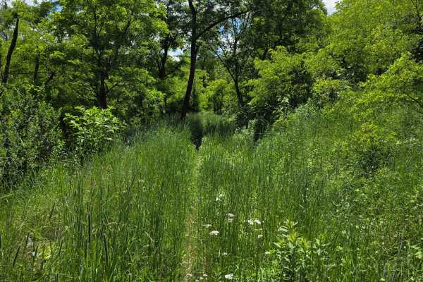 Single Track AD