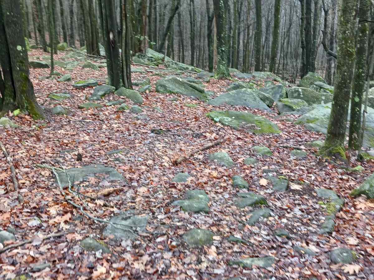 OHV 36 - Rock Run Recreation Area photo 6