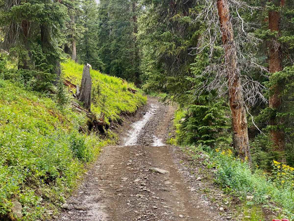 Silver Basin Trail trail photo