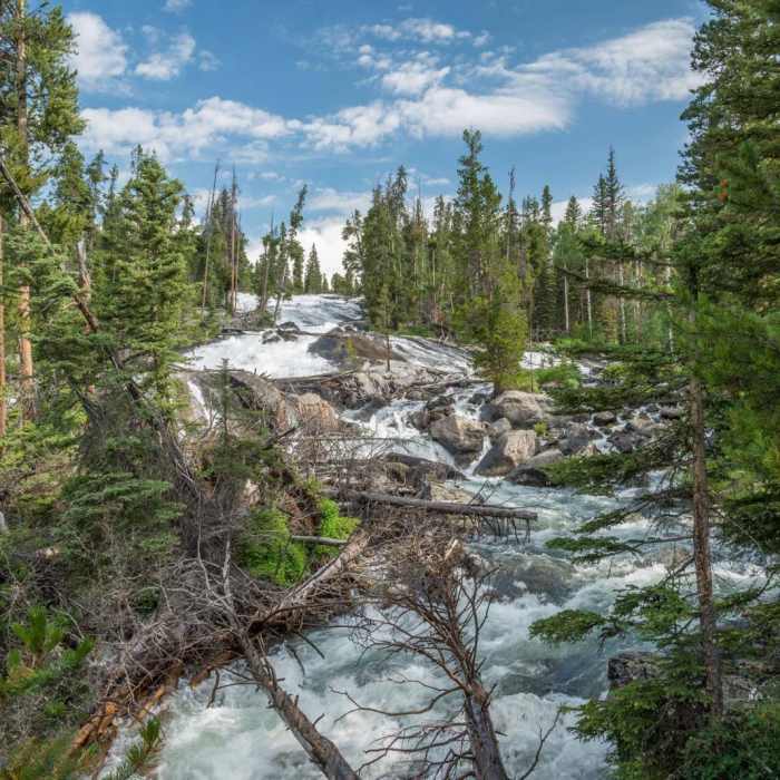Near Crazy Creek Falls