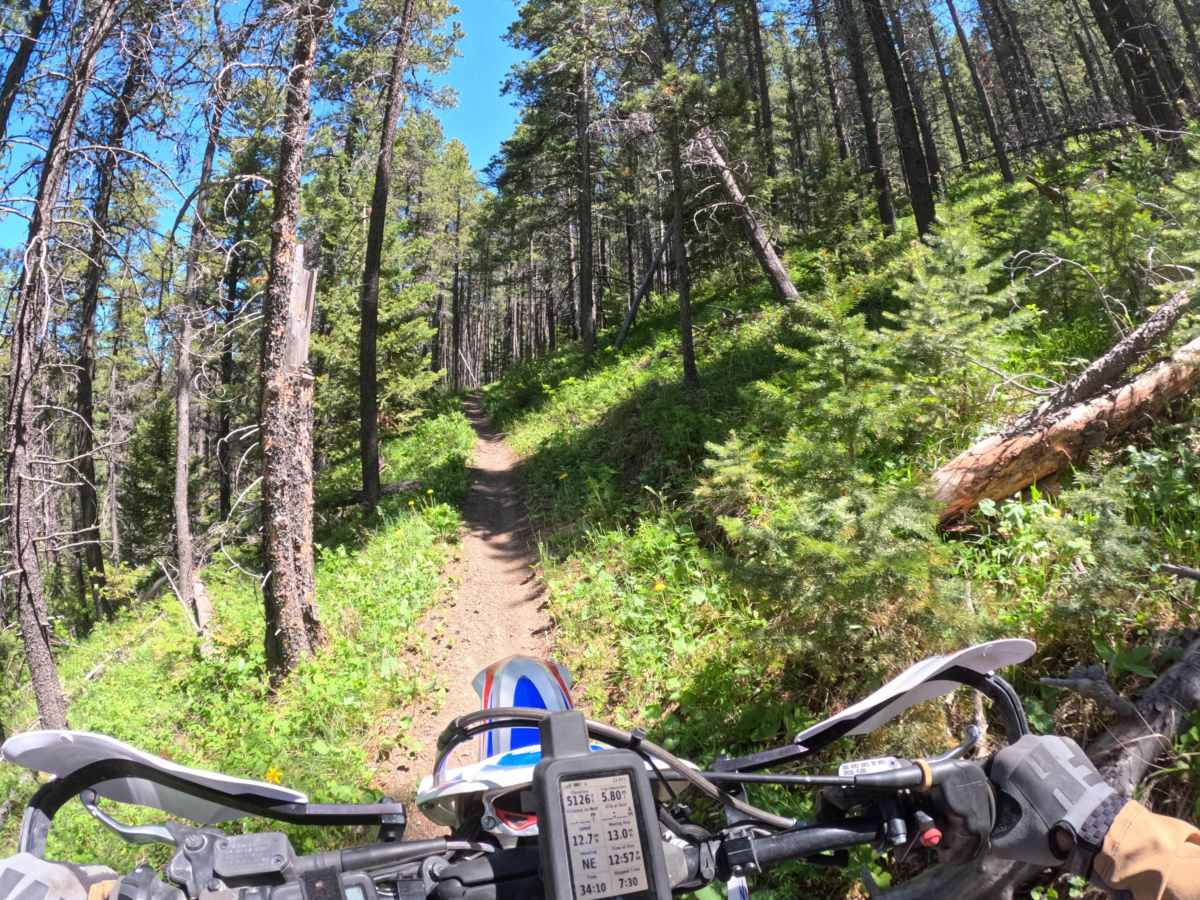 Center Ridge/North Fork Highwood Creek photo 6
