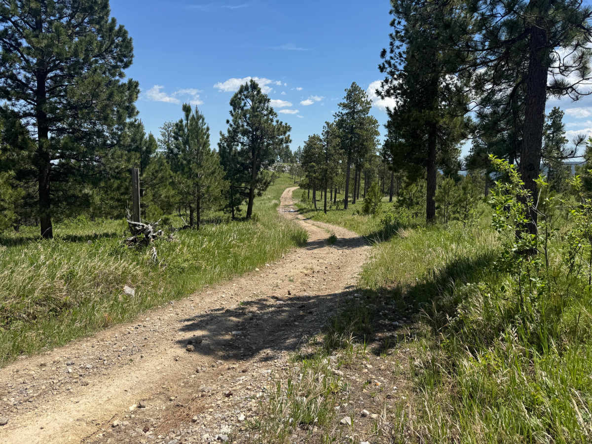 Forbes Gulch Br 1b - FSR 169.1B photo 4