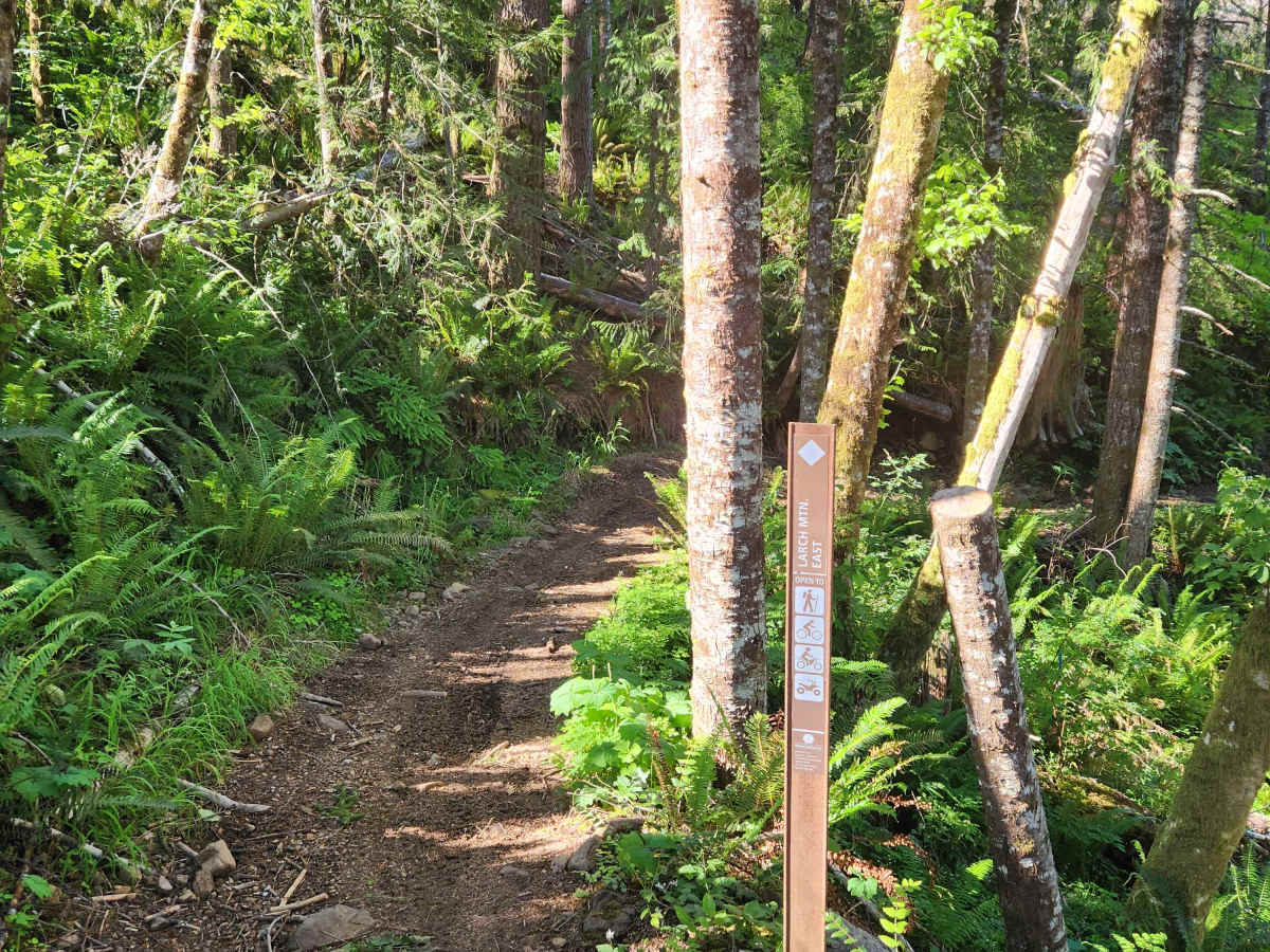 Larch Trail East photo 6