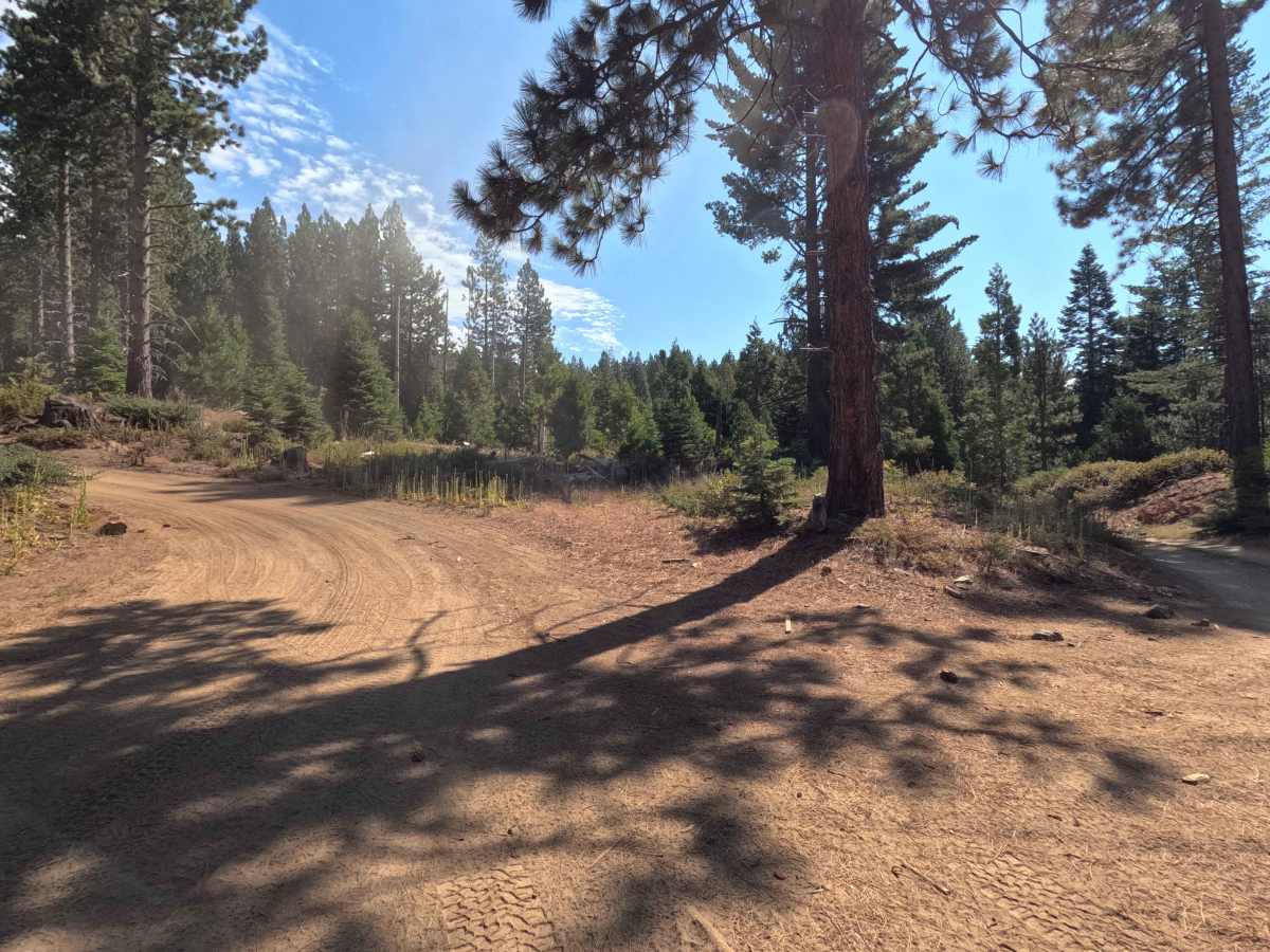 Roundup - FS 5S022X trail photo