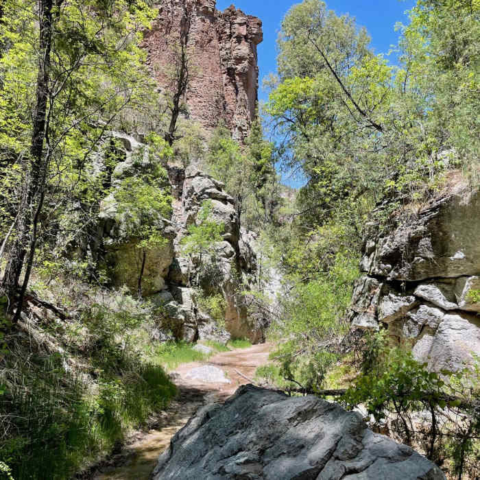 Near Little Bear Canyon Hike