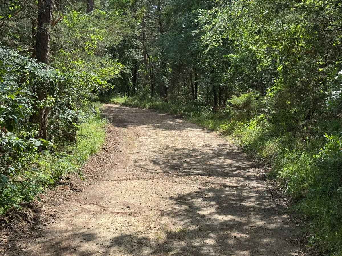 Forest Home Lane photo 5