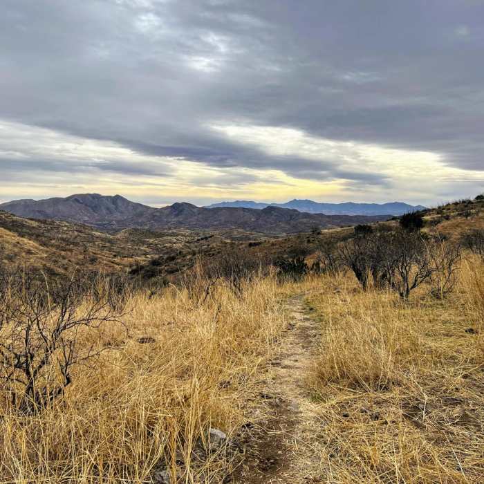 Near Oak Tree Canyon Loop