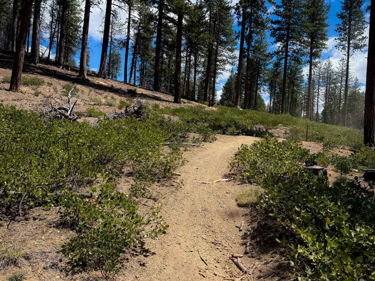 Trail 16  photo 6