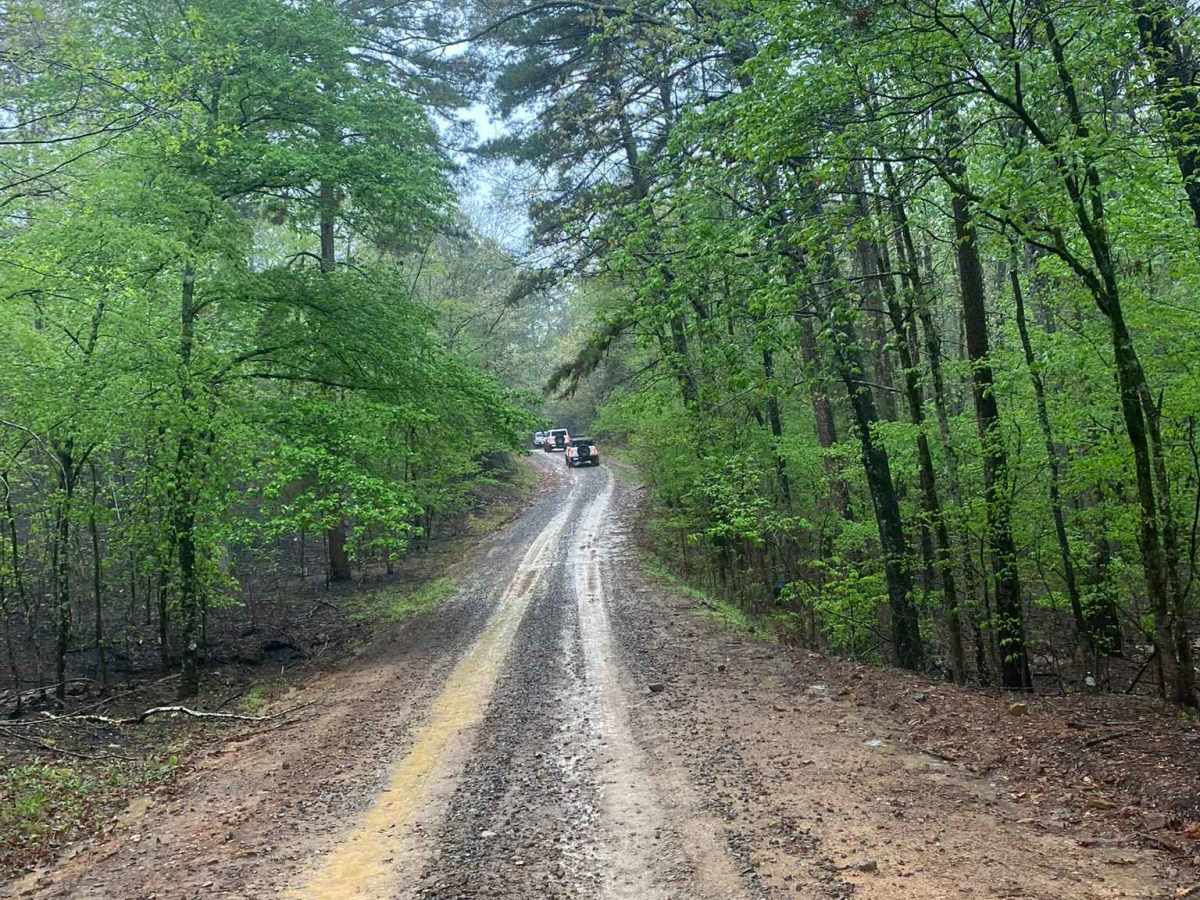Little Bigger Road trail photo