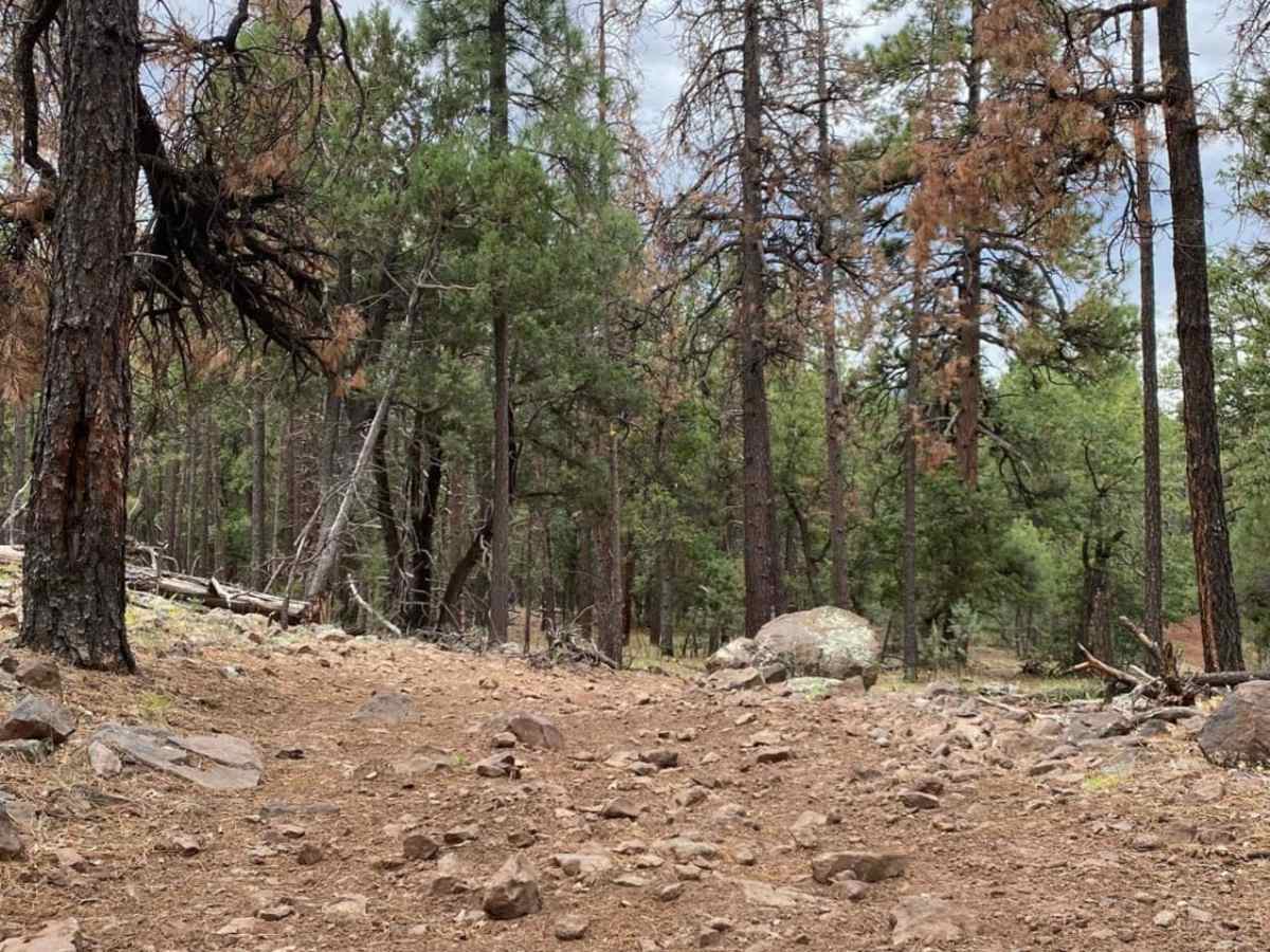 Deadwood Tank photo 4