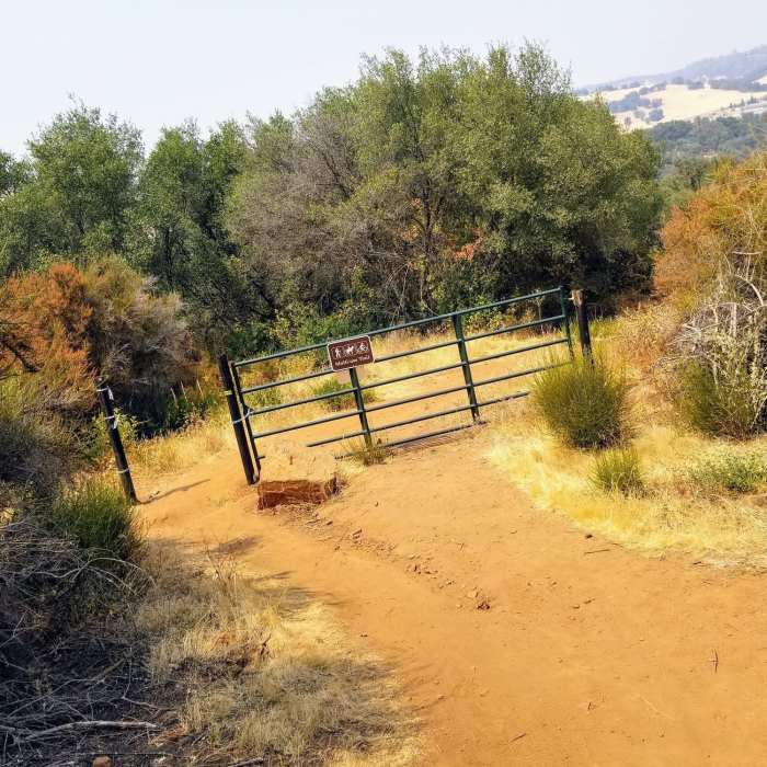 Near Acorn Creek Trail