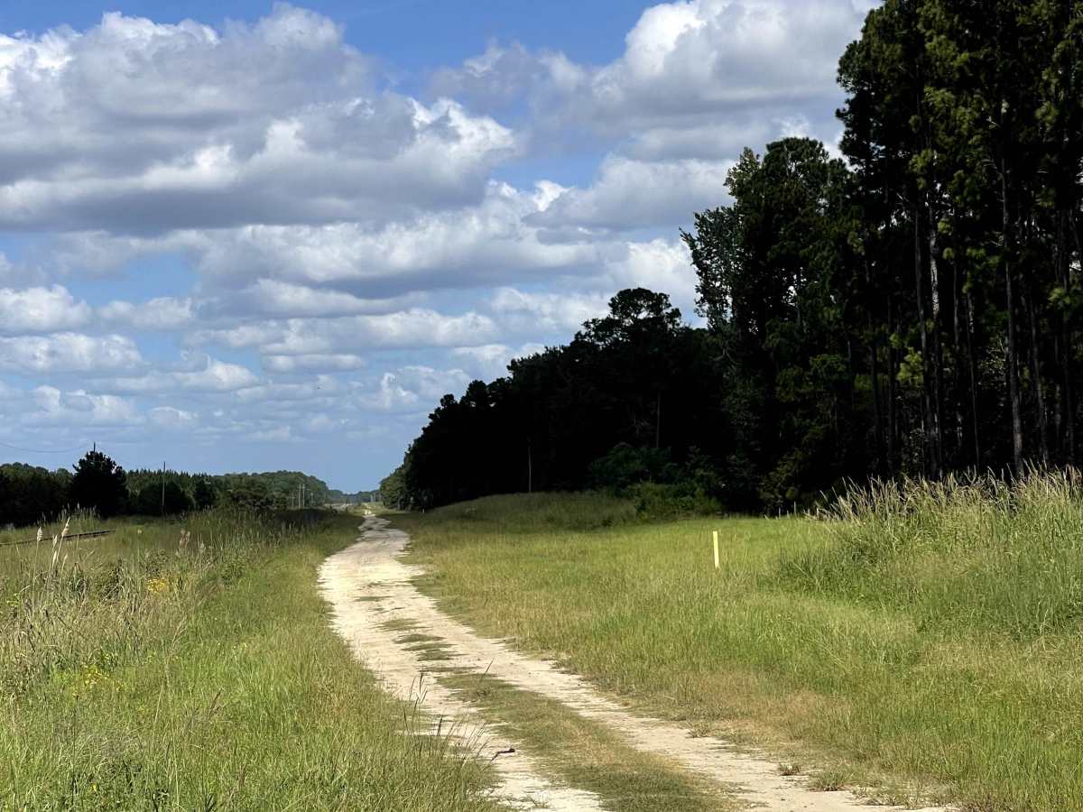 Sidetracks  trail photo