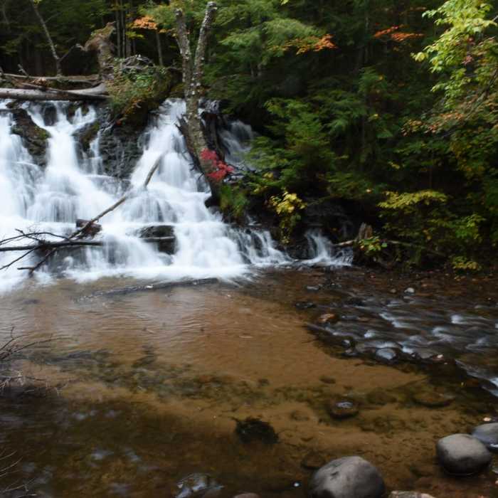 Near Morgan Falls Hike Near Morgan Falls Hike