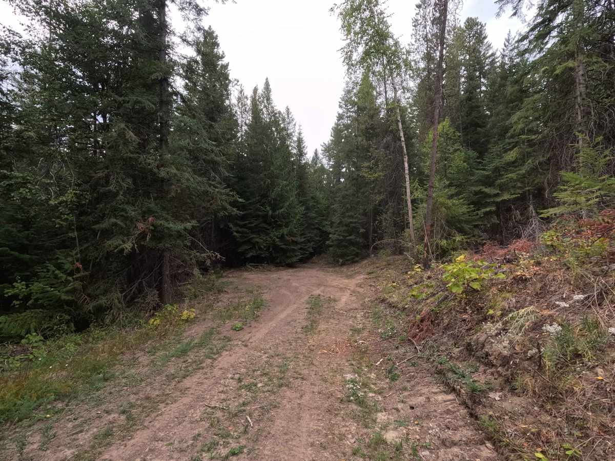 FS 1921035 photo 6
