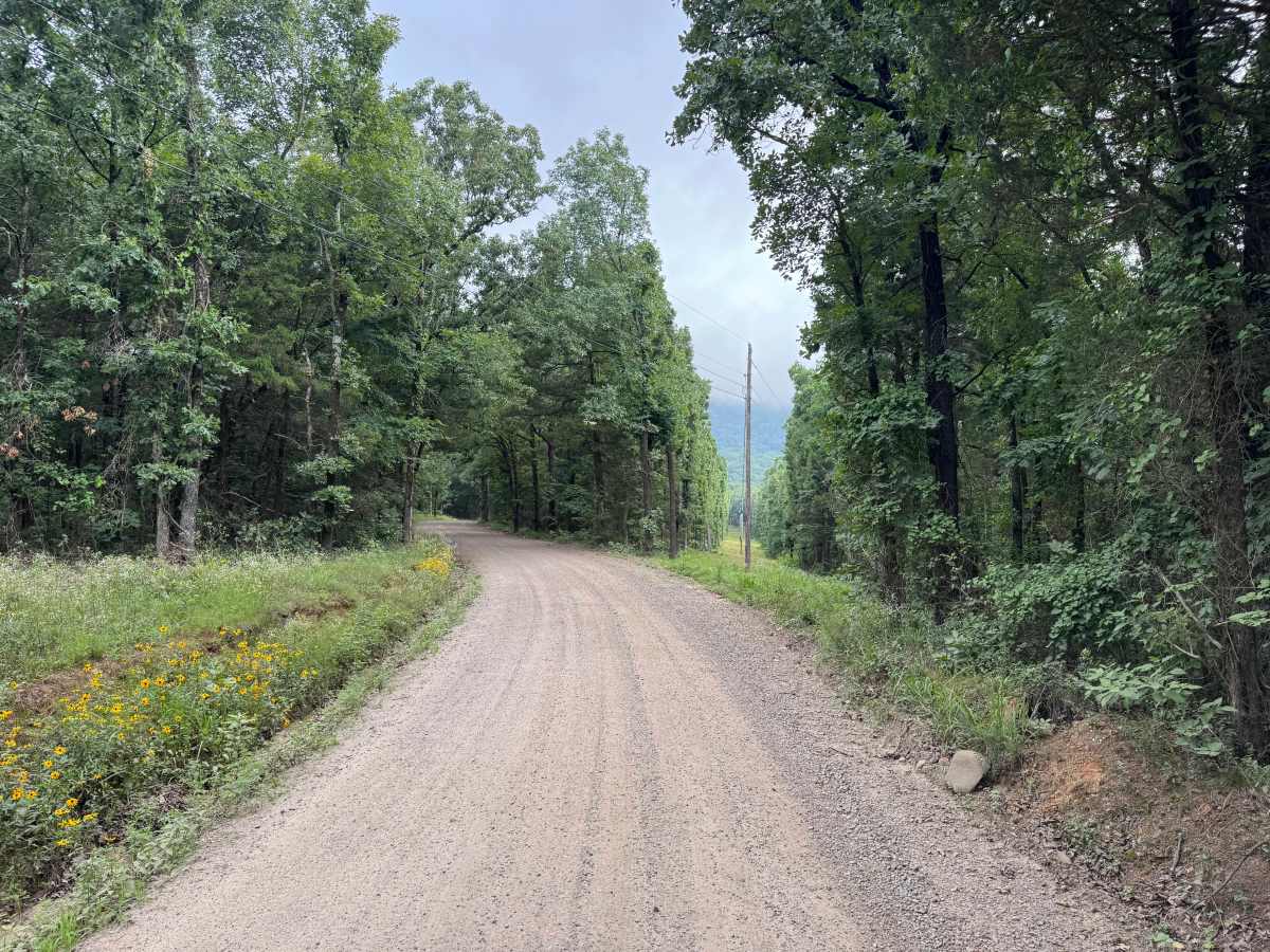 County Road 3091 photo 4