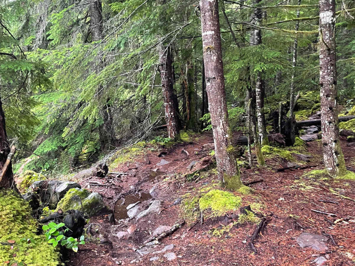 Ridge Connector photo 5