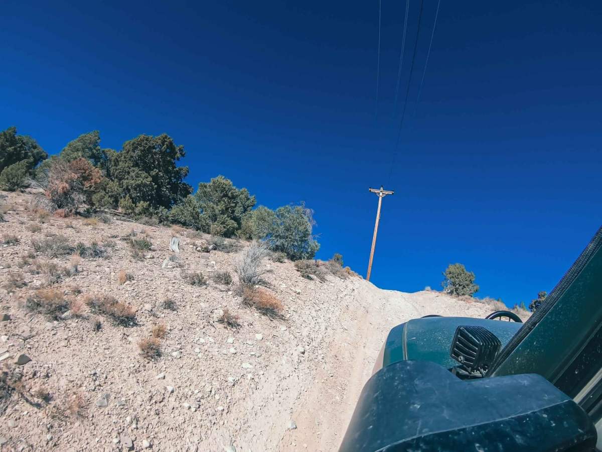 Powerline Road photo 4