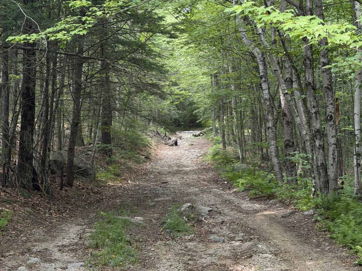 Page Trace Road photo 3