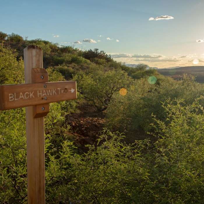 Near Blackhawk Trail