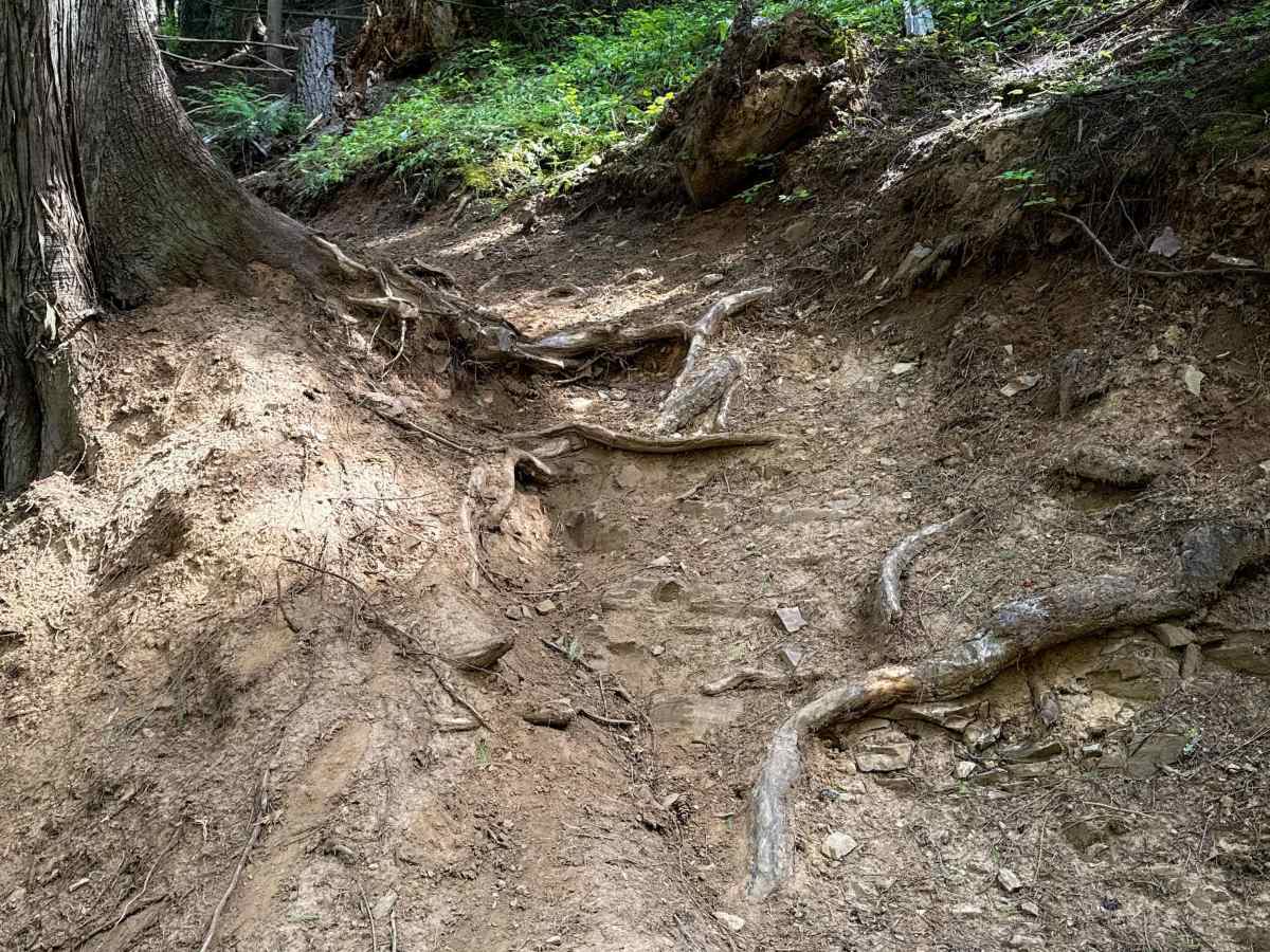 Quartz View  trail photo