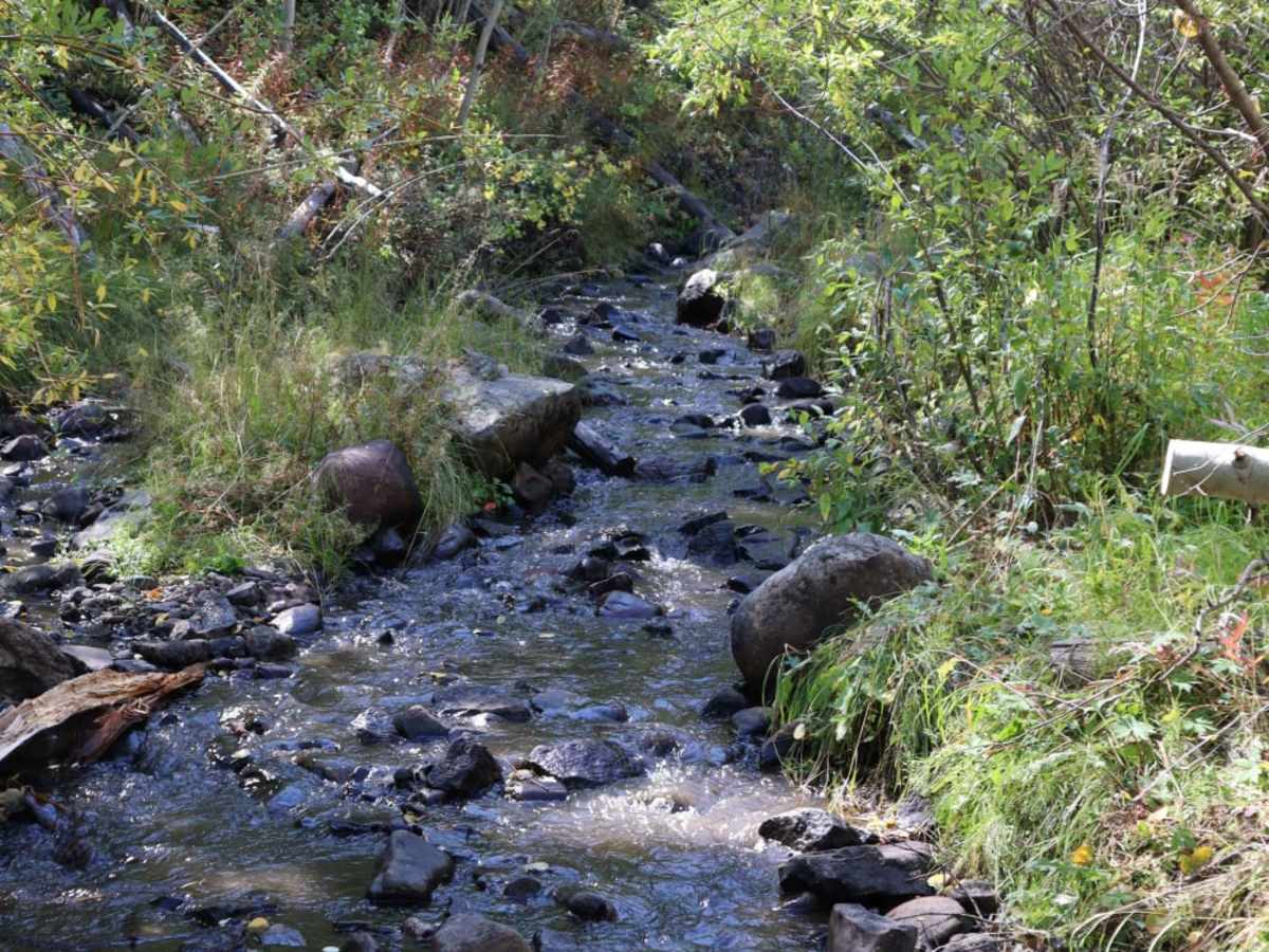 Bennett Creek 2 photo 4