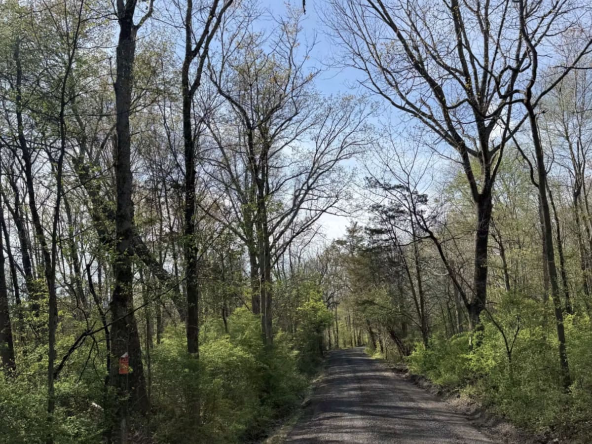 Oak Grove Road  photo 5