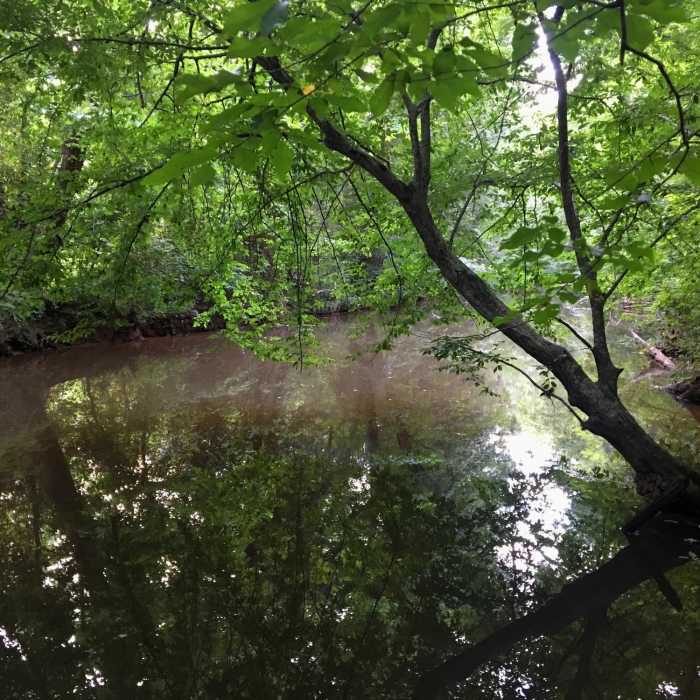 Near Cedarock Park Tour