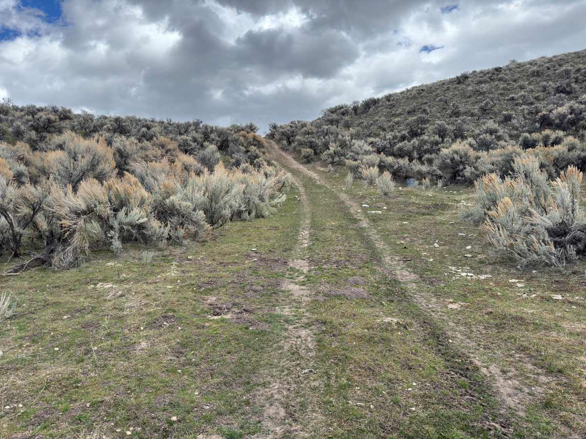 BLM Trail 137 photo 5