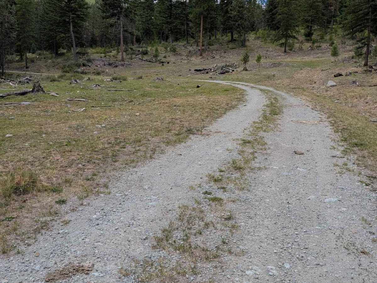 Sarsapkin Creek Road photo 6