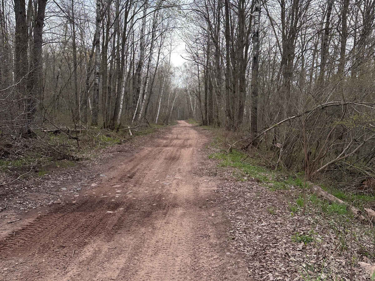 Matthew Lourey State Trail photo 2