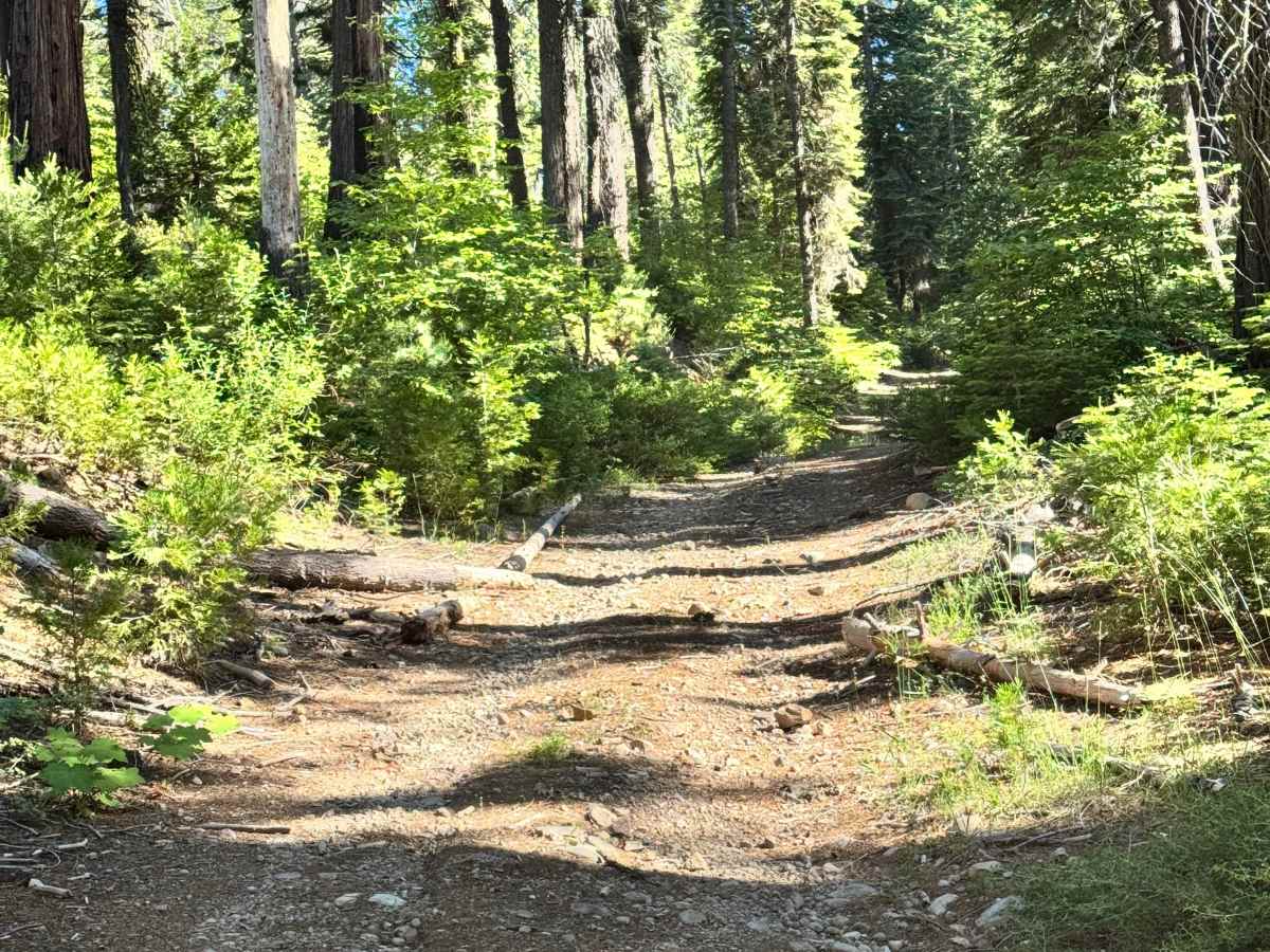 Red Star Ridge - FS 57 photo 4