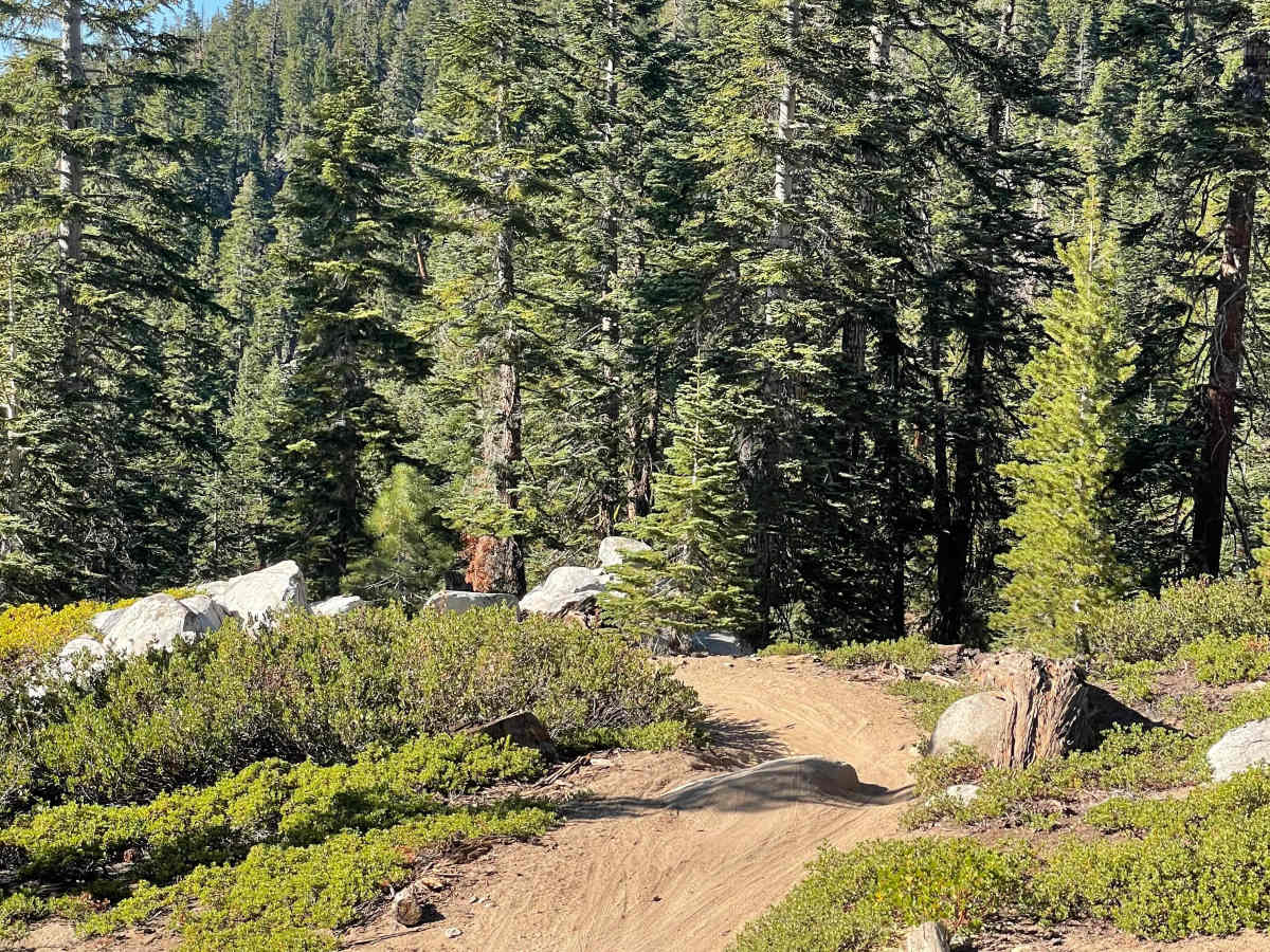 Kingsbury Stinger Trail photo 5