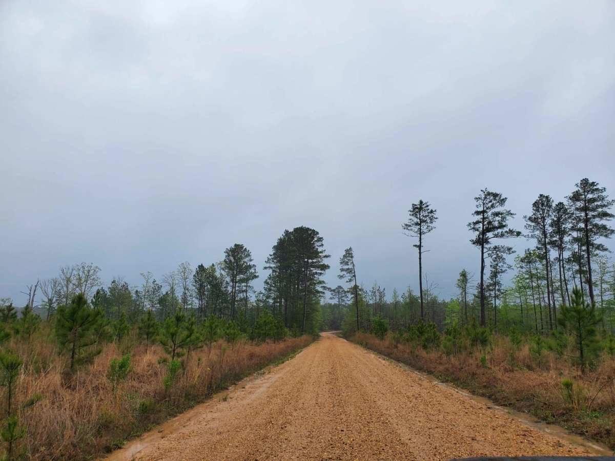 The Arkansas Overland Route - Section 7 - Treck Along Ouachita Road photo 6