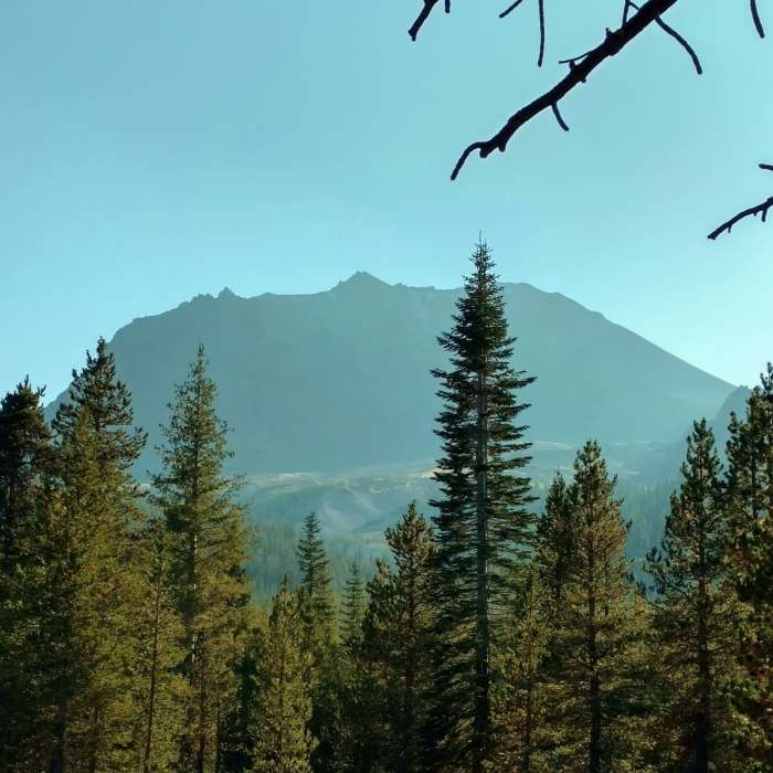 Near Devastated Area Trail